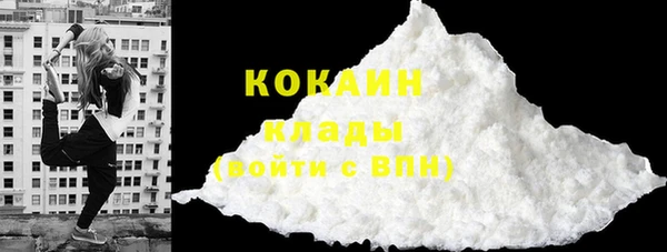 индика Бронницы
