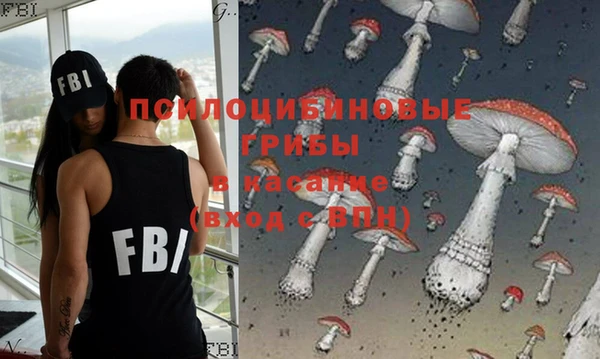 дурь Богданович