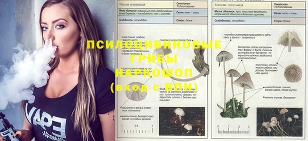 дурь Богданович