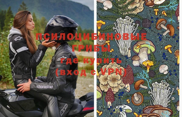 эйфоретик Богородицк