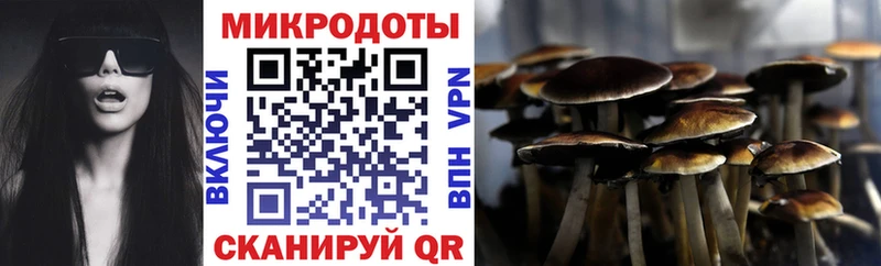 Псилоцибиновые грибы мухоморы Воркута